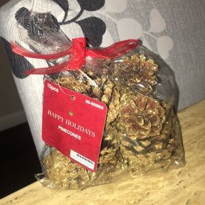 Gold and White Pinecones